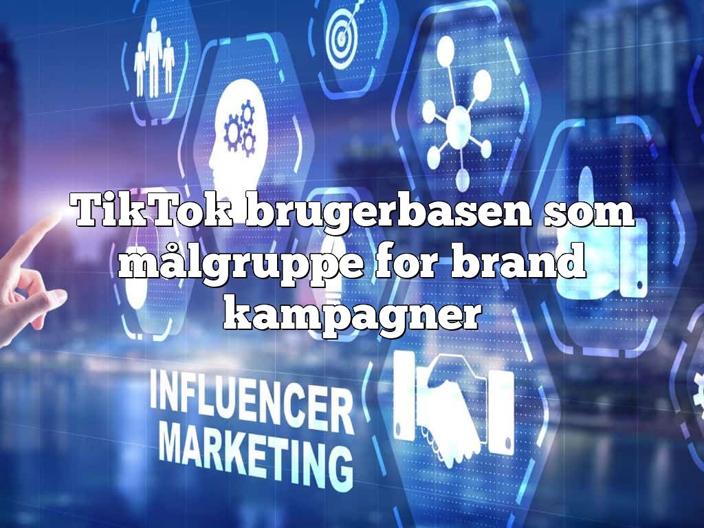 TikTok brugerbasen som målgruppe for brand kampagner